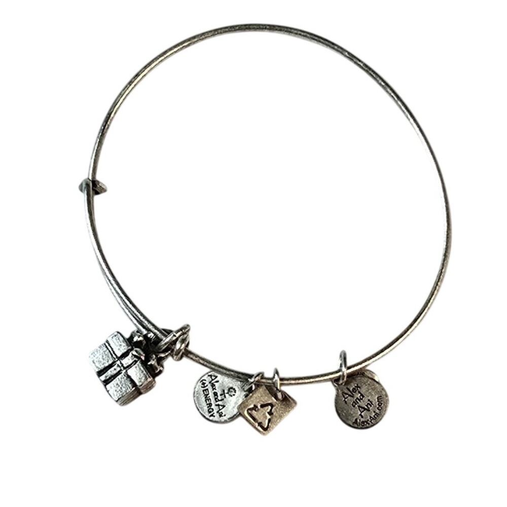 Alex and Ani Charm Bangle Bracelet Silver Gift Box Present Charm